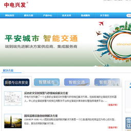 信息系统集成服务的价值与再介入策略分析